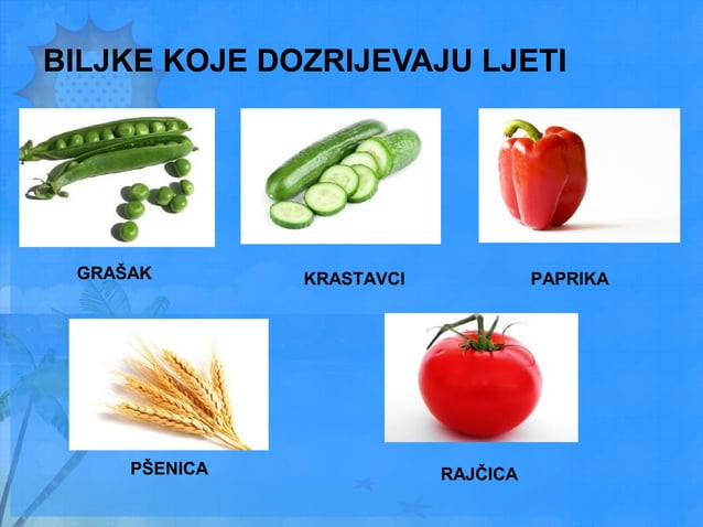 Ljeto - priroda ljeti | PPT