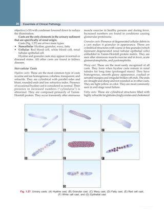Essentials of clinical pathology (2010) | PDF