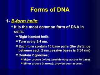 Forms of DNA
1-1- B-form helixB-form helix::
It is the most common form of DNA inIt is the most common form of DNA in
cells.cells.
Right-handed helixRight-handed helix
Turn every 3.4 nm.Turn every 3.4 nm.
Each turn contain 10 base pairs (the distanceEach turn contain 10 base pairs (the distance
between each 2 successive bases is 0.34 nm)between each 2 successive bases is 0.34 nm)
Contain 2 grooves;Contain 2 grooves;
 Major groove (wide): provide easy access to basesMajor groove (wide): provide easy access to bases
 Minor groove (narrow): provide poor access.Minor groove (narrow): provide poor access.
 