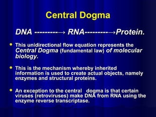 Central Dogma
DNA ---------→ RNA---------→Protein.DNA ---------→ RNA---------→Protein.
 This unidirectional flow equation represents theThis unidirectional flow equation represents the
Central DogmaCentral Dogma (fundamental law)(fundamental law) of molecularof molecular
biology.biology.
 This is the mechanism whereby inheritedThis is the mechanism whereby inherited
information is used to create actual objects, namelyinformation is used to create actual objects, namely
enzymes and structural proteins.enzymes and structural proteins.
 An exception to the central dogma is that certainAn exception to the central dogma is that certain
viruses (retroviruses) make DNA from RNA using theviruses (retroviruses) make DNA from RNA using the
enzyme reverse transcriptase.enzyme reverse transcriptase.
 