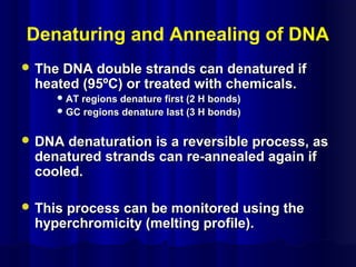Denaturing and Annealing of DNA
 The DNA double strands can denatured ifThe DNA double strands can denatured if
heated (95ºC) or treated with chemicals.heated (95ºC) or treated with chemicals.
 AT regions denature first (2 H bonds)AT regions denature first (2 H bonds)
 GC regions denature last (3 H bonds)GC regions denature last (3 H bonds)
 DNA denaturation is a reversible process, asDNA denaturation is a reversible process, as
denatured strands can re-annealed again ifdenatured strands can re-annealed again if
cooled.cooled.
 This process can be monitored using theThis process can be monitored using the
hyperchromicity (melting profile).hyperchromicity (melting profile).
 