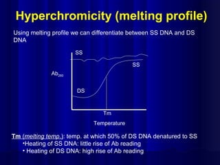 Hyperchromicity (melting profile)
DS
SS
SS
Ab260
Tm
Temperature
Tm (melting temp.): temp. at which 50% of DS DNA denatured to SS
•Heating of SS DNA: little rise of Ab reading
• Heating of DS DNA: high rise of Ab reading
Using melting profile we can differentiate between SS DNA and DS
DNA
 