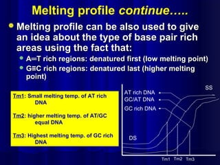 Melting profile continue…..
Melting profile can be also used to giveMelting profile can be also used to give
an idea about the type of base pair richan idea about the type of base pair rich
areas using the fact that:areas using the fact that:
 A═T rich regions: denatured first (low melting point)A═T rich regions: denatured first (low melting point)
 G≡C rich regions: denatured last (higher meltingG≡C rich regions: denatured last (higher melting
point)point)
DS
SS
GC rich DNA
AT rich DNA
GC/AT DNA
Tm1 Tm2 Tm3
Tm1: Small melting temp. of AT rich
DNA
Tm2: higher melting temp. of AT/GC
equal DNA
Tm3: Highest melting temp. of GC rich
DNA
 