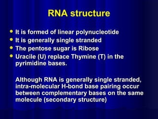 RNA structure
 It is formed of linear polynucleotideIt is formed of linear polynucleotide
 It is generally single strandedIt is generally single stranded
 The pentose sugar is RiboseThe pentose sugar is Ribose
 Uracile (U) replace Thymine (T) in theUracile (U) replace Thymine (T) in the
pyrimidine bases.pyrimidine bases.
Although RNA is generally single stranded,Although RNA is generally single stranded,
intra-molecular H-bond base pairing occurintra-molecular H-bond base pairing occur
between complementary bases on the samebetween complementary bases on the same
molecule (secondary structure)molecule (secondary structure)
 