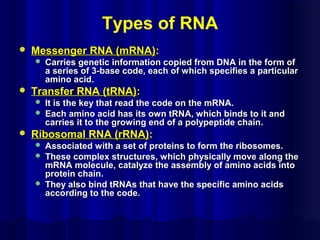 Types of RNA
 Messenger RNA (mRNA)Messenger RNA (mRNA)::
 Carries genetic information copied from DNA in the form ofCarries genetic information copied from DNA in the form of
a series of 3-base code, each of which specifies a particulara series of 3-base code, each of which specifies a particular
amino acid.amino acid.
 Transfer RNA (tRNA)Transfer RNA (tRNA)::
 It is the key that read the code on the mRNA.It is the key that read the code on the mRNA.
 Each amino acid has its own tRNA, which binds to it andEach amino acid has its own tRNA, which binds to it and
carries it to the growing end of a polypeptide chain.carries it to the growing end of a polypeptide chain.
 Ribosomal RNA (rRNA)Ribosomal RNA (rRNA)::
 Associated with a set of proteins to form the ribosomes.Associated with a set of proteins to form the ribosomes.
 These complex structures, which physically move along theThese complex structures, which physically move along the
mRNA molecule, catalyze the assembly of amino acids intomRNA molecule, catalyze the assembly of amino acids into
protein chain.protein chain.
 They also bind tRNAs that have the specific amino acidsThey also bind tRNAs that have the specific amino acids
according to the code.according to the code.
 