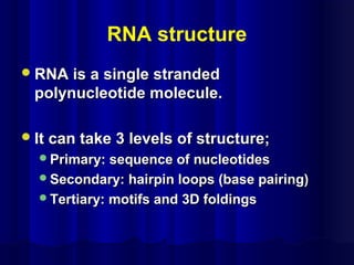 RNA structure
RNA is a single strandedRNA is a single stranded
polynucleotide molecule.polynucleotide molecule.
It can take 3 levels of structure;It can take 3 levels of structure;
Primary: sequence of nucleotidesPrimary: sequence of nucleotides
Secondary: hairpin loops (base pairing)Secondary: hairpin loops (base pairing)
Tertiary: motifs and 3D foldingsTertiary: motifs and 3D foldings
 