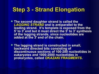Step 3 - Strand ElongationStep 3 - Strand Elongation
 The second daughter strand is called theThe second daughter strand is called the
LAGGING STRANDLAGGING STRAND and is antiparallel to theand is antiparallel to the
leading strand. It’s template is exposed from theleading strand. It’s template is exposed from the
5' to 3' end but it must direct the 5' to 3' synthesis5' to 3' end but it must direct the 5' to 3' synthesis
of the lagging strands, since nucleotides areof the lagging strands, since nucleotides are
added at the 3' end of the chain.added at the 3' end of the chain.
 The lagging strand is constructed in small,The lagging strand is constructed in small,
backward directed bits consisting ofbackward directed bits consisting of
discontinuous sections of 100-200 nucleotides indiscontinuous sections of 100-200 nucleotides in
eukaryotes and 1000-2000 nucleotides ineukaryotes and 1000-2000 nucleotides in
prokaryotes, calledprokaryotes, called OKAZAKI FRAGMENTSOKAZAKI FRAGMENTS..
 