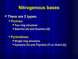 Nitrogenous bases
There are 2 types:There are 2 types:
Purines:Purines:
Two ring structureTwo ring structure
Adenine (A) and Guanine (G)Adenine (A) and Guanine (G)
Pyrimidines:Pyrimidines:
Single ring structureSingle ring structure
Cytosine (C) and Thymine (T) or Uracil (U).Cytosine (C) and Thymine (T) or Uracil (U).
 