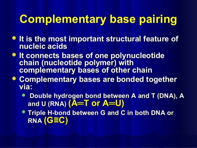 Structure And Function Of Dna