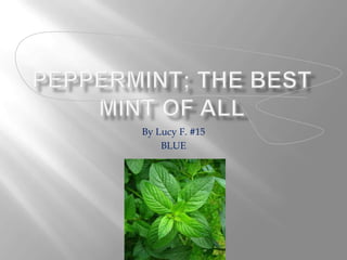 Peppermint; The best mint of all By Lucy F. #15 BLUE 