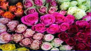 Cancer prevention and screening