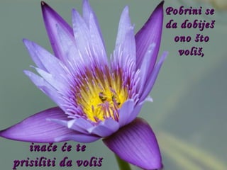 Pobrini se  da dobiješ  ono što voliš, inače će te prisiliti da voliš ono što dobiješ. 