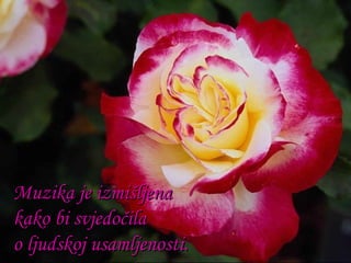 Muzika je izmišljena  kako bi svjedočila o ljudskoj usamljenosti. 