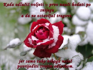 Kada odlučiš voljeti – prvo nauči hodati po snijegu a da ne ostavljaš tragove, jer samo tako nikoga nećeš povrijediti svojim odlaskom. 