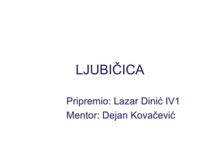 LJUBIČICA
Pripremio: Lazar Dinić IV1
Mentor: Dejan Kovačević
 