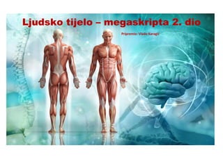 Ljudsko tijelo – megaskripta 2. dio
Pripremio: Vlado Karagić
 