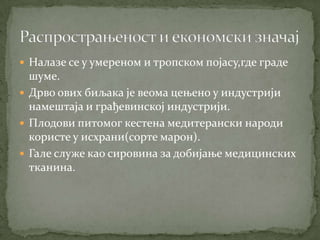  Налазе се у умереном и тропском појасу,где граде
  шуме.
 Дрво ових биљака је веома цењено у индустрији
  намештаја и грађевинској индустрији.
 Плодови питомог кестена медитерански народи
  користе у исхрани(сорте марон).
 Гале служе као сировина за добијање медицинских
  тканина.
 