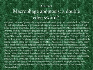 Abstract
Macrophage apoptosis: a double
edge sword?
Apoptosis, a form of genetically programmed cell death, plays an essential role in different
physiologic and pathologic processes including atherosclerosis, in which it affects all cell
types including endothelial cells, vascular smooth muscle cells (VSMCs), and macrophages.
Over the course of the plaque progression, pro- and anti-apoptotic signals abound. In other
organ systems, apoptosis limits the number of a particular cell type that accumulates in the
lesion. The issue in atherosclerosis, however, is clearly more complex. The loss of VSMCs
can be detrimental for plaque stability since most of the fibrous cap collagen required for the
tensile strength of the cap is produced by VSMCs. Apoptosis of macrophages, on the other
hand, could be beneficial for plaque stability if apoptotic bodies were removed. Several
investigators have reported, however, that apoptotic bodies in the advanced atherosclerotic
plaque are often not scavenged, can activate the coagulation cascade, potentially leading to
plaque rupture and luminal thrombosis. Many of the apoptotic bodies are of macrophage
origin. Moreover, interventions like statin therapy have shown that beneficial effects on the
plaque, namely shrinkage of the lipid core, decrease of the inflammatory burden and
thickening of the fibrous cap, are accompanied by a decrease in apoptotic activity. It is
therefore not surprising that most investigators believe that apoptosis is detrimental to
plaque stability.
 