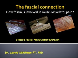 Dr. Leonid Kalichman PT, PhD
Stecco’s Fascial Manipulation approach
 