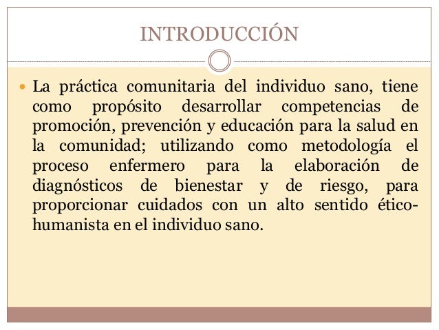 Informe Final Practica Comunitaria_Denisse Landeros