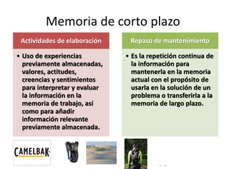 © Copyright Excellentia Fervic Education
Memoria de corto plazo
Actividades de elaboración
• Uso de experiencias
previamente almacenadas,
valores, actitudes,
creencias y sentimientos
para interpretar y evaluar
la información en la
memoria de trabajo, así
como para añadir
información relevante
previamente almacenada.
Repaso de mantenimiento
• Es la repetición continua de
la información para
mantenerla en la memoria
actual con el propósito de
usarla en la solución de un
problema o transferirla a la
memoria de largo plazo.
 