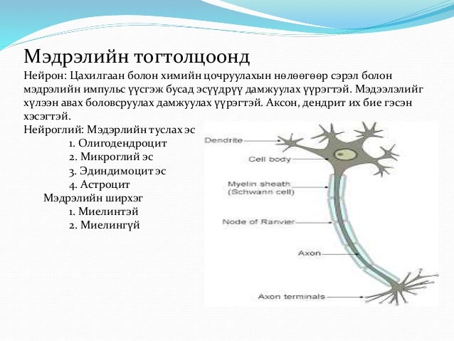 Физиологий судалгааны аргууд Lkhagva