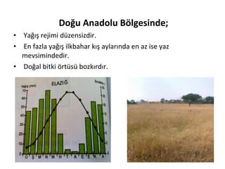 Doğu Anadolu Bölgesinde;
• Yağış rejimi düzensizdir.
• En fazla yağış ilkbahar kış aylarında en az ise yaz
  mevsimindedir.
• Doğal bitki örtüsü bozkırdır.
 