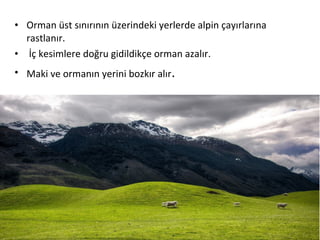 • Orman üst sınırının üzerindeki yerlerde alpin çayırlarına
  rastlanır.
• İç kesimlere doğru gidildikçe orman azalır.
• Maki ve ormanın yerini bozkır alır.
 