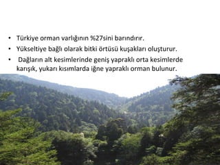 • Türkiye orman varlığının %27sini barındırır.
• Yükseltiye bağlı olarak bitki örtüsü kuşakları oluşturur.
• Dağların alt kesimlerinde geniş yapraklı orta kesimlerde
  karışık, yukarı kısımlarda iğne yapraklı orman bulunur.
 