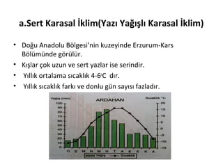 a.Sert Karasal İklim(Yazı Yağışlı Karasal İklim)

• Doğu Anadolu Bölgesi’nin kuzeyinde Erzurum-Kars
  Bölümünde görülür.
• Kışlar çok uzun ve sert yazlar ise serindir.
• Yıllık ortalama sıcaklık 4-6oC dır.
• Yıllık sıcaklık farkı ve donlu gün sayısı fazladır.
 