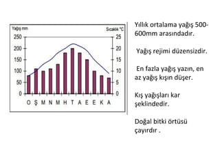 Yıllık ortalama yağış 500-
600mm arasındadır.

Yağış rejimi düzensizdir.

En fazla yağış yazın, en
az yağış kışın düşer.

Kış yağışları kar
şeklindedir.

Doğal bitki örtüsü
çayırdır .
 