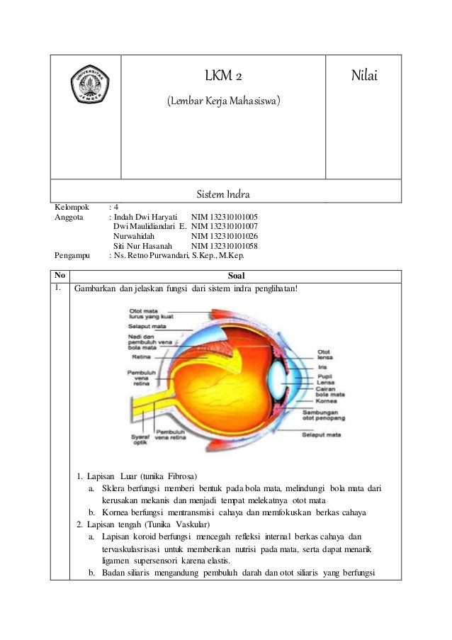 Soal Sistem Indera Mata Hipermetropi Kelas 9