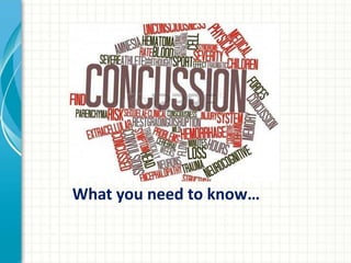What you need to know… 
 