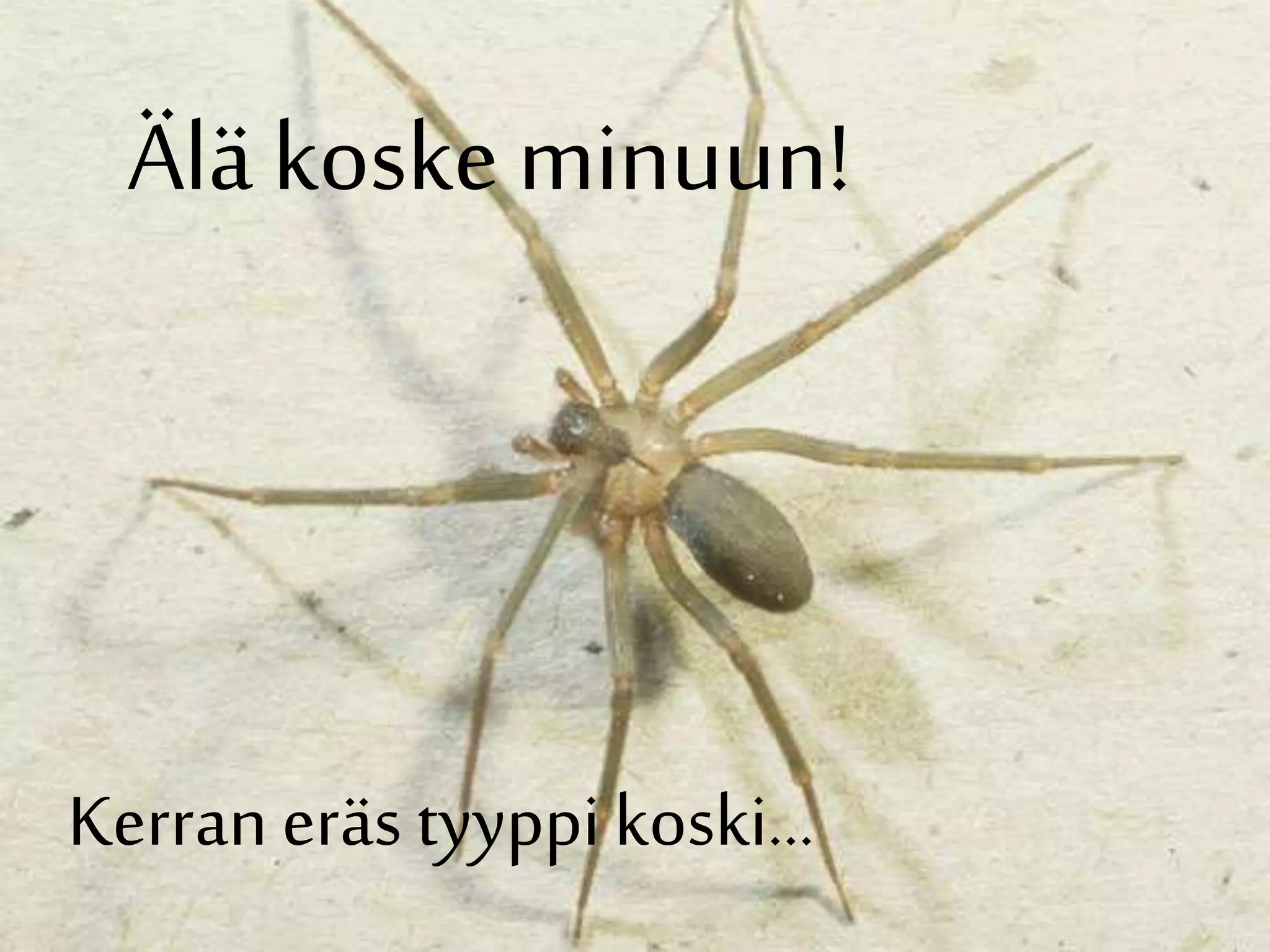  l Koske Minuun ppt