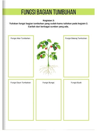 LKPD BAGIAN-BAGIAN TUMBUHAN DAN FUNGSINYA KELAS IV.pdf