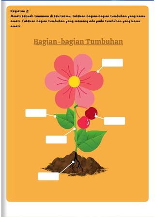 LKPD BAGIAN-BAGIAN TUMBUHAN DAN FUNGSINYA KELAS IV.pdf