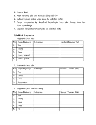 B. Prosedur Kerja
1. Amati morfologi jenis-jenis tumbuhan yang anda bawa
2. Bedakan/pisakhan amtara lumut, paku, dan tumbuhan berbiji
3. Dengan menggunakan lup, identifikasi bagian-bagian lumut, akar, batang, daun dan
organ reproduksinya
4. Lanjutkan pengamatan terhadap paku dan tumbuhan berbiji
Tabel Hasil Pengamatan
1. Pengamatan pada lumut
No. Bagian-Bagiannya Keterangan Gambar (Tanaman Utuh)
1. Akar
2. Batang
3. Daun
4. Bentuk gametofit
5. Bentuk sporofit
2. Pengamatan pada paku
No. Bagian-Bagiannya Keterangan Gambar (Tanaman Utuh)
1. Akar
2. Batang
3. Daun
4. Sporongium
3. Pengamatan pada tumbuhan berbiji
No. Bagian-Bagiannya Keterangan Gambar (Tanaman Utuh)
1. Akar
2. Batang
3. Daun
4. Bunga
5. Biji
 