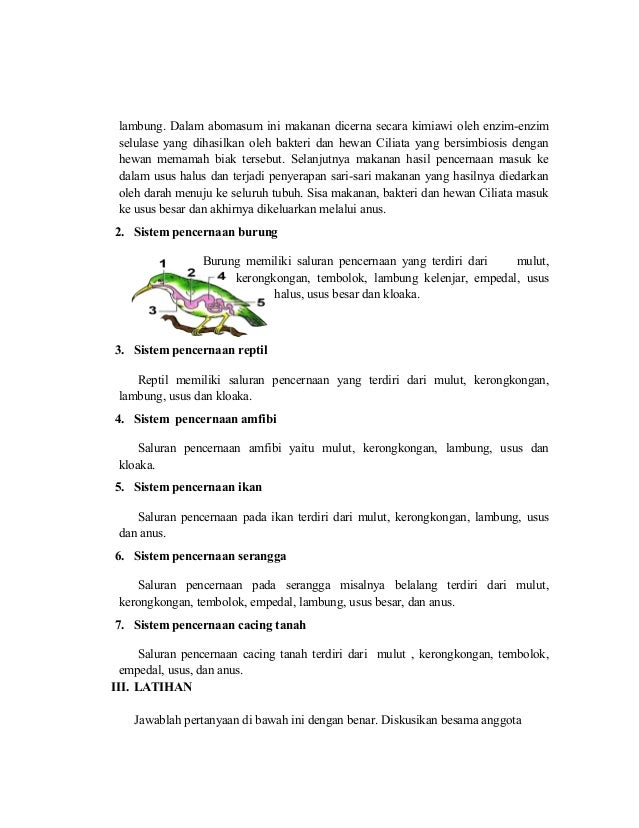 Lks 3