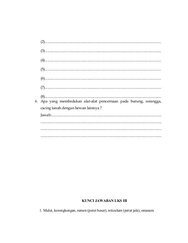 Lks 3