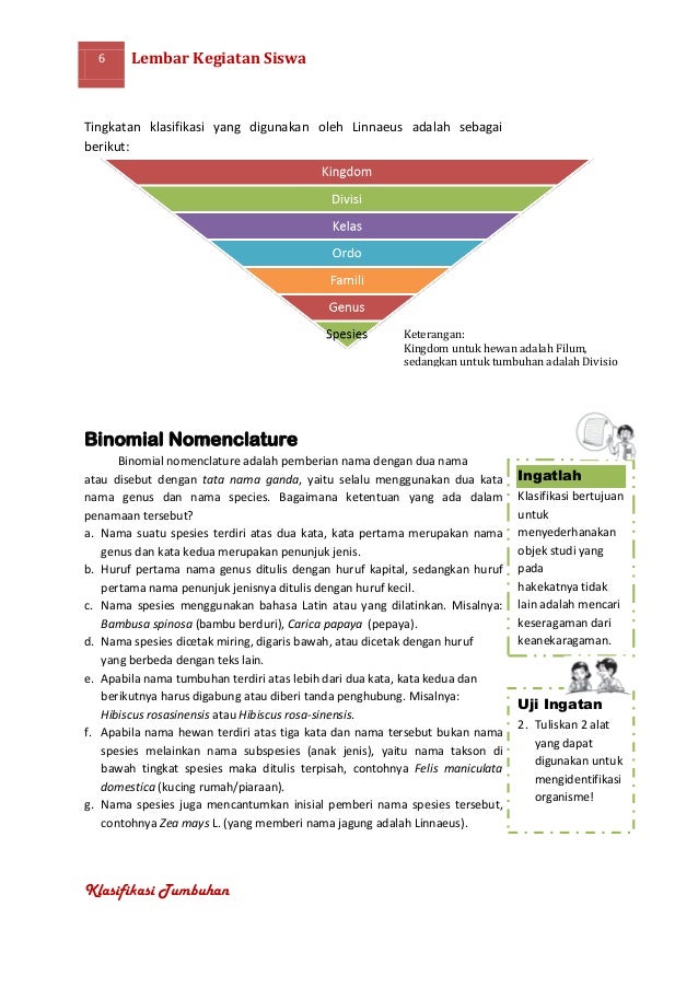Tingkatan Terendah Dari Klasifikasi Tumbuhan Dan Hewan Adalah Belajar Tingkatan Terendah Dari Klasifikasi Tumbuhan Dan Hewan Adalah Belajar