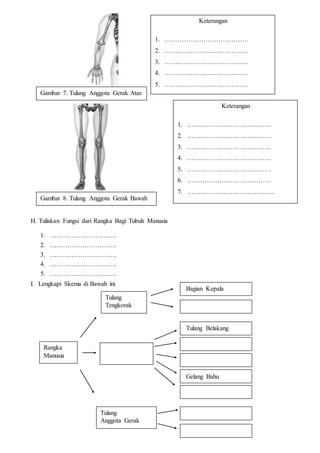 Gambar Sistem Gerak Pada Manusia