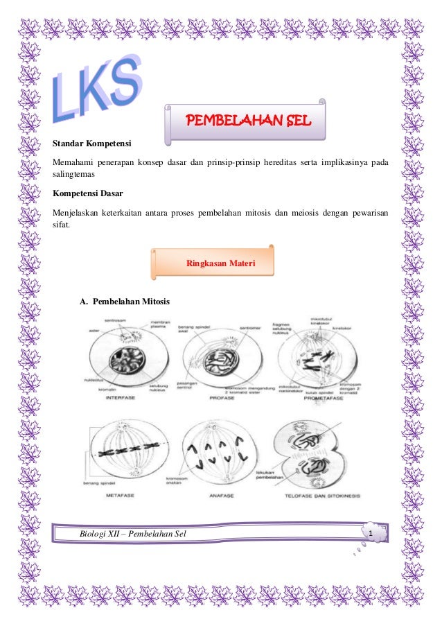 Lks wesi -pembelahan sel-