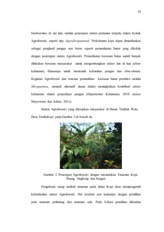 13
biodiversitas di sisi lain, melalui penerapan sistem pertanian terpadu dalam bentuk
Agroforestri, seperti tipe Agrosilvopastural. Perkebunan kopi dapat dimanfaatkan
sebagai penghasil pangan non beras seperti pemanfaatan hutan yang dikelola
dengan penerapan sistem Agroforestri. Pemanfaatan kawasan hutan sudah banyak
dilakukan bersama masyarakat untuk mengembangkan sektor lain di luar sektor
kehutanan, khususnya untuk memenuhi kebutuhan pangan dan obat-obatan.
Kegiatan Agroforestri dan rencana pemanfatan kawasan hutan produksi melalui
Silvopastura, menjadi alternatif utama dalam meningkatkan kontribusi sektor
kehutanan dalam penyediaan pangan (Departemen Kehutanan, 2010 dalam
Mayrowani dan Ashari, 2011).
Sistem Agroforestri yang diterapkan masyarakat di Dusun Tambak Watu
Desa Tambaksari pada Gambar 2 di bawah ini.
Gambar 2. Penerapan Agroforestri dengan memadukan Tanaman Kopi,
Pisang, Singkong dan Sengon
Pengeloaan ruang tumbuh tanaman pada lahan Kopi akan mempengaruhi
keberhasilan sistem Agroforestri. Hal tersebut erat kaitannya dengan pemilihan
jenis tanaman pelindung dan tanaman sela. Pada Lokasi penelitian diketahui
 