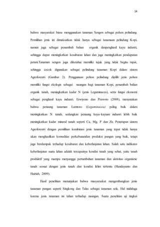 14
bahwa masyarakat biasa menggunakan tanaman Sengon sebagai pohon pelindung.
Pemilihan jenis ini dimaksutkan tidak hanya sebagai tanamaan pelindung Kopi,
namun juga sebagai penambah bahan organik danpenghasil kayu industri,
sehingga dapat meningkatkan kesuburan lahan dan juga meningkatkan pendapatan
petani.Tanaman sengon juga diketahui memiliki tajuk yang tidak begitu rapat,
sehingga cocok digunakan sebagai pelindung tanaman Kopi dalam sistem
Agroforestri (Gambar 2). Penggunaan pohon pelindung dipilih jenis pohon
memiliki fungsi ekologis sebagai naungan bagi tanaman Kopi, penambah bahan
organik tanah, meningkatkan kadar N (jenis Leguminacea), serta fungsi ekonomi
sebagai penghasil kayu industri. Erwiyono dan Prawoto (2008), menyatakan
bahwa penaung tanaman Lamtoro (Leguminacea) paling baik dalam
meningkatkan N tanah, sedangkan penaung kayu–kayuan industri lebih baik
meningkatkan kadar mineral tanah seperti Ca, Mg, P dan Zn. Penerapan sistem
Agroforestri dengan pemilihan kombinasi jenis tanaman yang tepat tidak hanya
akan menghasilkan komoditas perkebunandan produksi pangan yang baik, tetapi
juga berdampak terhadap kesuburan dan keberlanjutan lahan. Salah satu indikator
keberlanjutan suatu lahan adalah tercapainya kondisi tanah yang sehat, yaitu tanah
produktif yang mampu menyangga pertumbuhan tanaman dan aktivitas organisme
tanah sesuai dengan jenis tanah dan kondisi iklim tertentu (Handayanto dan
Hairiah, 2009).
Hasil penelitian menunjukan bahwa masyaraakat mengembangkan jenis
tanaman pangan seperti Singkong dan Talas sebagai tanaman sela. Hal inididuga
karena jenis tanaman ini tahan terhadap naungan. Suatu penelitian uji tingkat
 
