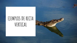 EJEMPLOS DE RECTA
VERTICAL
 