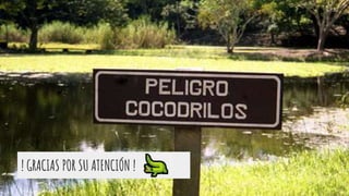 ! GRACIAS POR SU ATENCIÓN !
 