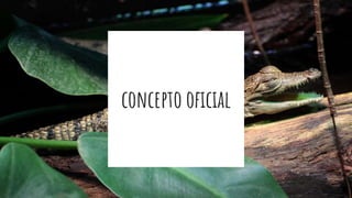 concepto oficial
 