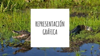 REPRESENTACIÓN
GRÁFICA
 
