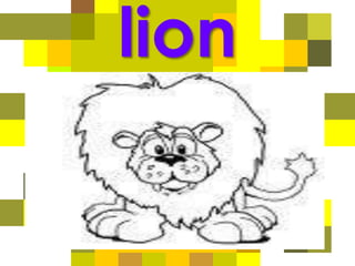 lion
 