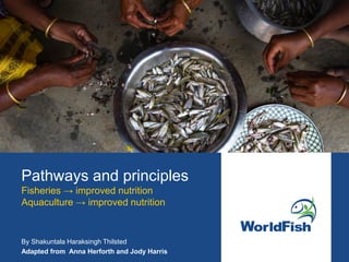 Pathways and principles
Fisheries → improved nutrition
Aquaculture → improved nutrition
By Shakuntala Haraksingh Thilsted
Adapted from Anna Herforth and Jody Harris
 